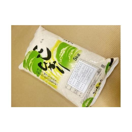 ふるさと納税 米 コシヒカリ 山口県 平生町 定期便 令和7年産 山口県産米 コシヒカリ 5kg 2回 ｜ 令和7年産 こしひかり 山口県産米 こめ お米 コメ 白米 精米…_2