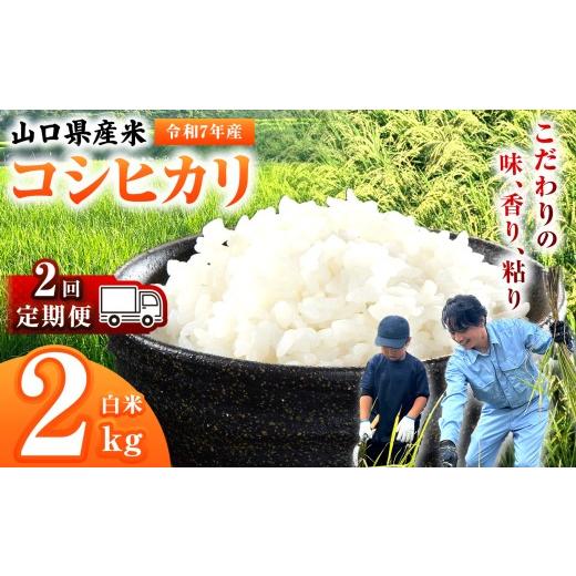 ふるさと納税 米 コシヒカリ 山口県 平生町 定期便 令和7年産 山口県産米 コシヒカリ 2kg 2回 | 令和7年産 こしひかり 山口県産米 こめ お米 コメ 白米 精米…
