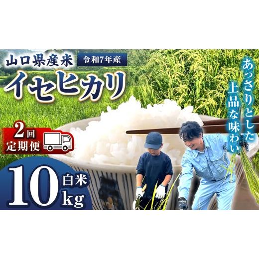 ふるさと納税 米 山口県 平生町 定期便 令和7年産 山口県産米 イセヒカリ 10kg 2回 ｜ 令和7年産 いせひかり 山口県産米 こめ お米 コメ 白米 精米 ごはん ご…_1