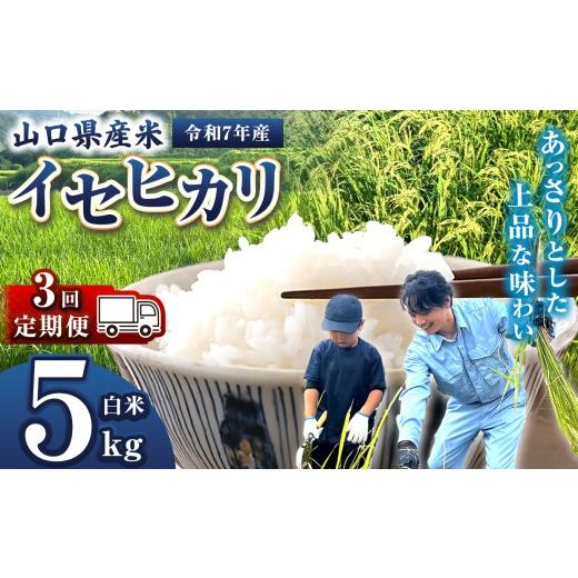 ふるさと納税 米 山口県 平生町 定期便 令和7年産 山口県産米 イセヒカリ 5kg 2回 ｜ 令和7年産 いせひかり 山口県産米 こめ お米 コメ 白米 精米 ごはん ご…_1