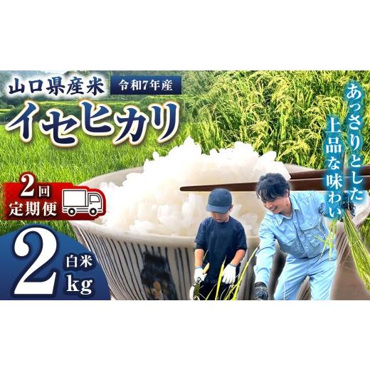 ふるさと納税 米 山口県 平生町 定期便 令和7年産 山口県産米 イセヒカリ 2kg 2回 | 令和7年産 いせひかり 山口県産米 こめ お米 コメ 白米 精米 ごはん ご…