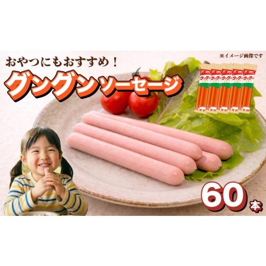 ふるさと納税 肉 ソーセージ 山口県 下関市 魚肉 ソーセージ 60本 セット 60本セット