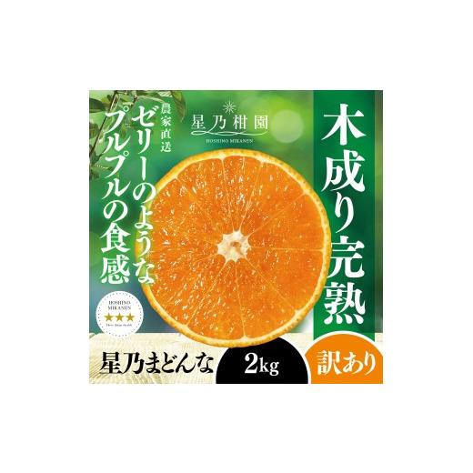 ふるさと納税 みかん・柑橘類 愛媛県 八幡浜市 三つ星ブランド 訳あり 星乃まどんな(2kg) C45-91 _みかん ミカン マドンナ 紅まどんな同品種 柑橘 柑橘類 フ…