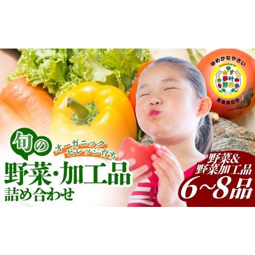 ふるさと納税 じゃがいも・サツマイモ 大分県 豊後高田市 栽培期間中、化学合成農薬・化学肥料不使用 野菜セット・季節の野菜6〜8品目・先行予約7月〜9月にお…