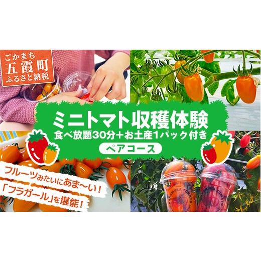 ふるさと納税 体験チケット 茨城県 五霞町 中村さん家のトマト収穫体験 ペアコース 2026年5月6日 水曜日 祝日 開催 - 農業体験 30分 食べ放題 1パック お持ち…