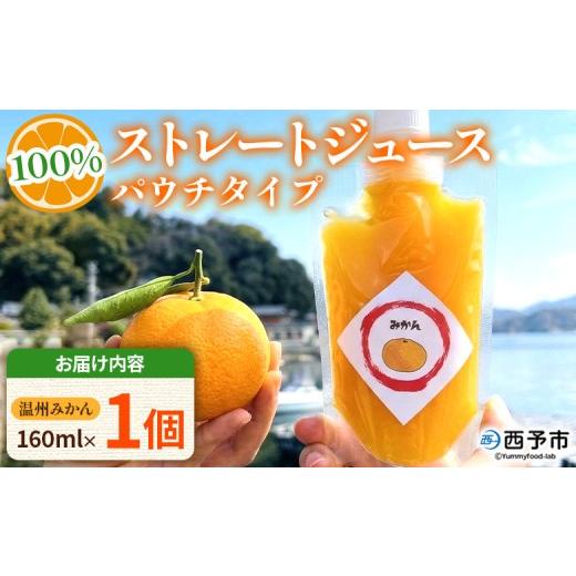 ふるさと納税 果汁飲料 みかん 愛媛県 西予市 温州みかん100%ストレートジュース パウチタイプ 160ml×1個 『1か月以内に順次発送予定』果物 くだもの フル…