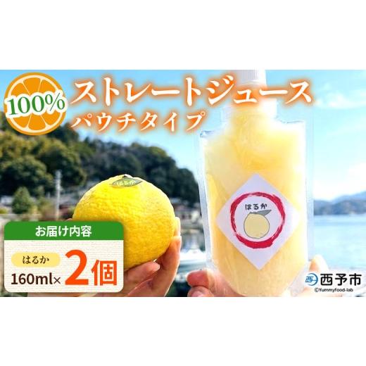 ふるさと納税 果汁飲料 みかん 愛媛県 西予市 はるか100%ストレートジュース パウチタイプ 160ml×2個 『1か月以内に順次発送予定』果物 くだもの フルーツ …