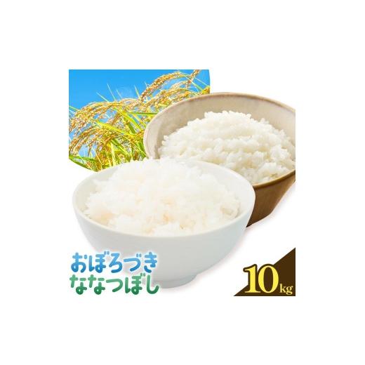 ふるさと納税 米 北海道 日高町 令和7年産 おぼろづき&ななつぼし 各5kg 計10kg 食べ比べセット 田中農園[30日以内出荷予定(土日祝除く)]お米 北海道 日高 …