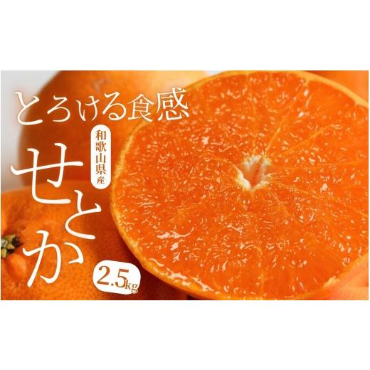 ふるさと納税 みかん・柑橘類 和歌山県 すさみ町 柑橘の大トロ せとか とろける食感 ジューシー柑橘 約2.5kg みかん 蜜柑 柑橘 オレンジ 果物 フルーツ 国産 …