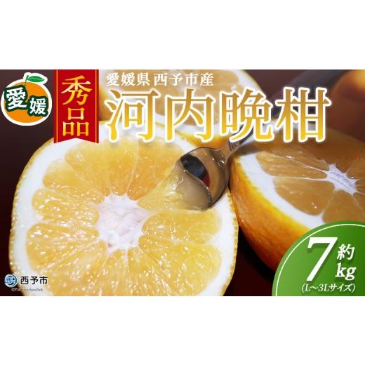 ふるさと納税 果物類 みかん 愛媛県 西予市 秀品 河内晩柑 (L〜3Lサイズ) 約7kg 『2026年4月中旬から順次出荷予定』かわちばんかん 美生柑 宇和ゴールド オレ…