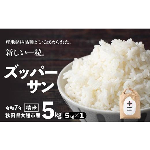 ふるさと納税 米 あきたこまち 秋田県 大館市 令和7年産 ズッパーサン精米5kg(5kg×1袋) 100P9007 / 米 5kg 白米 秋田県産 あきたこまち おにぎり 大館 無洗…