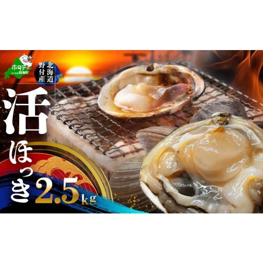 ふるさと納税 アワビ・ホタテ・他 北海道 別海町 北海道 別海町産 活ホッキ 2.5kg