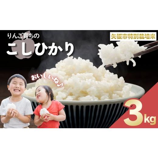 ふるさと納税 米 コシヒカリ 栃木県 矢板市 お米 矢板市特別栽培米「コシヒカリ」りんご育ちの こしひかり 3kg 3kg | 10000円
