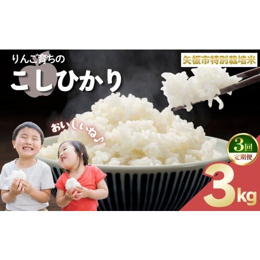 ふるさと納税 米 コシヒカリ 栃木県 矢板市 定期便3回 お米 矢板市特別栽培米「コシヒカリ」りんご育ちの こしひかり 3kg 定期便3回 3kg | 29000円