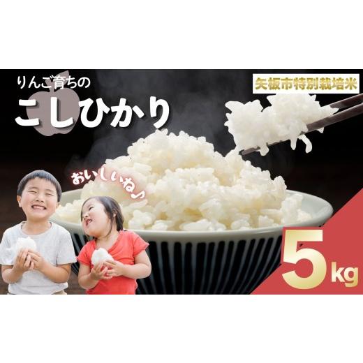 ふるさと納税 米 コシヒカリ 栃木県 矢板市 お米 矢板市特別栽培米「コシヒカリ」りんご育ちの こしひかり 5kg 5kg | 14000円
