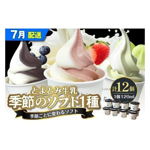 ふるさと納税 菓子 アイス 北海道 豊富町 2026年7月配送 とよとみ牛乳ソフトクリーム 季節のミックス1種類 120ml×12個 2026年7月配送 季節のミックス1種類 1…
