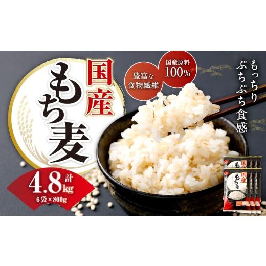 ふるさと納税 雑穀 山梨県 中央市 国産もち麦 800g×6袋 もち大麦 穀物 食物繊維 ご飯 ごはん 山梨県 中央市 送料無料