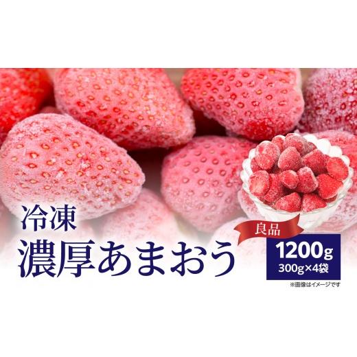 ふるさと納税 いちご 福岡県 八女市 冷凍濃厚あまおう(良品) 300g×4袋 いちご イチゴ 苺 あまおう 冷凍 冷凍フルーツ 料理 お菓子 福岡県 八女市