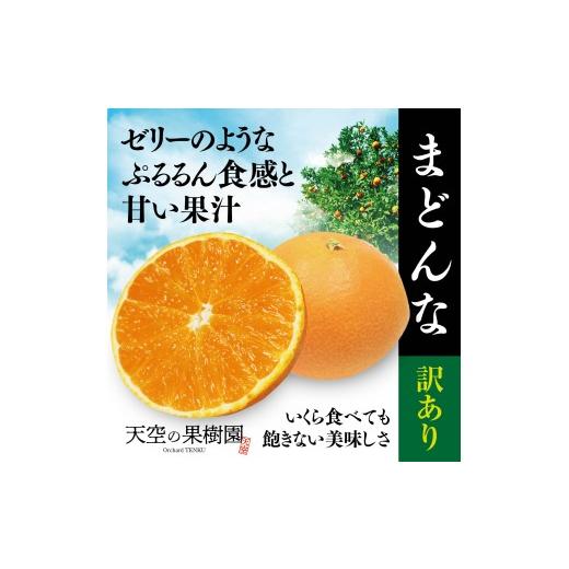 ふるさと納税 みかん・柑橘類 愛媛県 八幡浜市 先行受付 訳あり 天空の果樹園から届く そらまどんな(5kg) D95-1 _みかん ミカン マドンナ 紅まどんな同品種 …