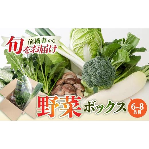 ふるさと納税 セット・詰合せ 群馬県 前橋市 季節の野菜 詰め合わせセット 6〜8品目 | 野菜セット 新鮮 旬野菜 朝どれ 農家直送 旬 野菜 鮮度 赤城山麓 群馬野…