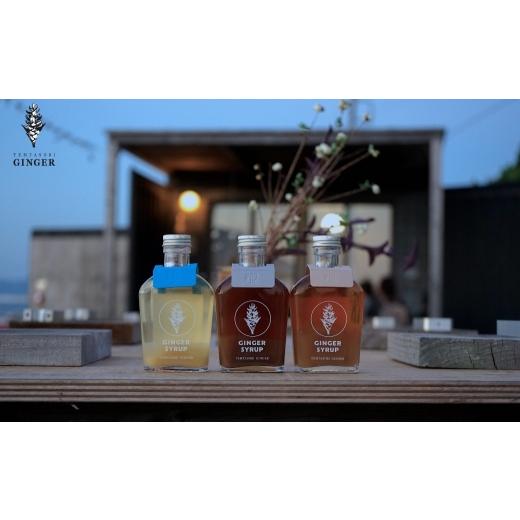 ふるさと納税 果汁飲料 愛知県 豊橋市 クラフトジンジャーシロップ 3本セット TEMTASOBIGINGER ジンジャーシロップ 生姜シロップ しょうがドリンク 手作りシ…
