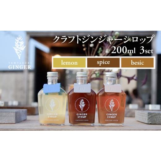 ふるさと納税 果汁飲料 愛知県 豊橋市 母の日お届け クラフトジンジャーシロップ　3本セット TEMTASOBIGINGER ジンジャーシロップ 生姜シロップ しょうがドリ…