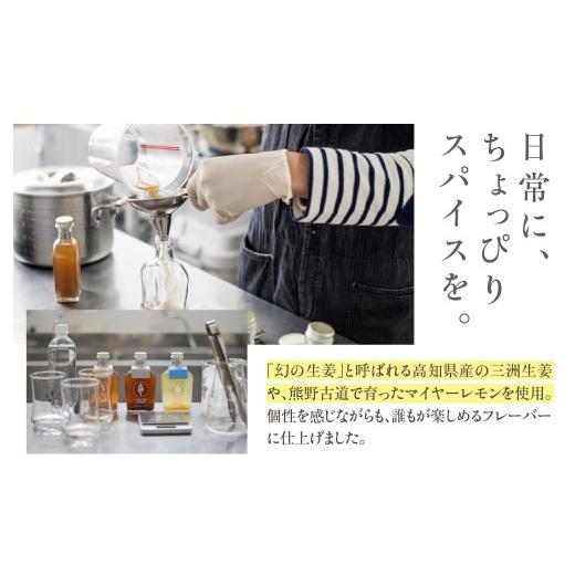 ふるさと納税 果汁飲料 愛知県 豊橋市 母の日お届け クラフトジンジャーシロップ　3本セット TEMTASOBIGINGER ジンジャーシロップ 生姜シロップ しょうがドリ…