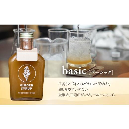 ふるさと納税 果汁飲料 愛知県 豊橋市 母の日お届け クラフトジンジャーシロップ　3本セット TEMTASOBIGINGER ジンジャーシロップ 生姜シロップ しょうがドリ…