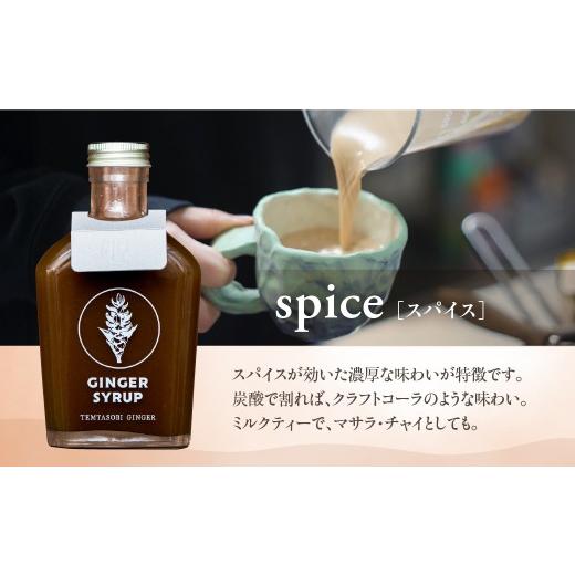 ふるさと納税 果汁飲料 愛知県 豊橋市 母の日お届け クラフトジンジャーシロップ　3本セット TEMTASOBIGINGER ジンジャーシロップ 生姜シロップ しょうがドリ…