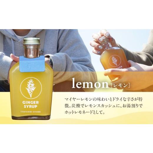 ふるさと納税 果汁飲料 愛知県 豊橋市 母の日お届け クラフトジンジャーシロップ　3本セット TEMTASOBIGINGER ジンジャーシロップ 生姜シロップ しょうがドリ…
