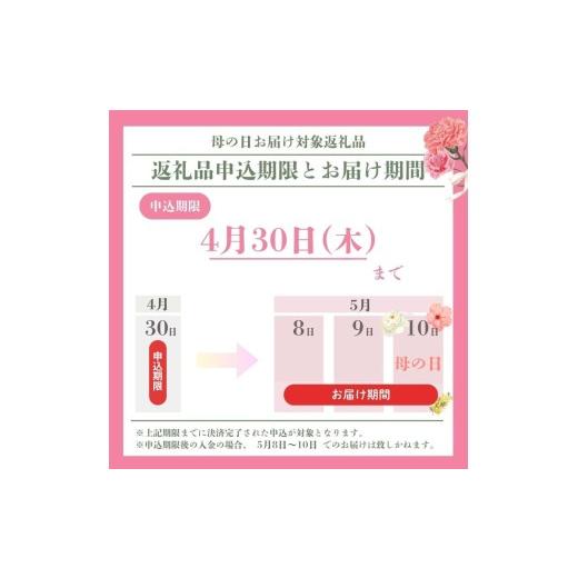ふるさと納税 果汁飲料 愛知県 豊橋市 母の日お届け クラフトジンジャーシロップ　3本セット TEMTASOBIGINGER ジンジャーシロップ 生姜シロップ しょうがドリ…