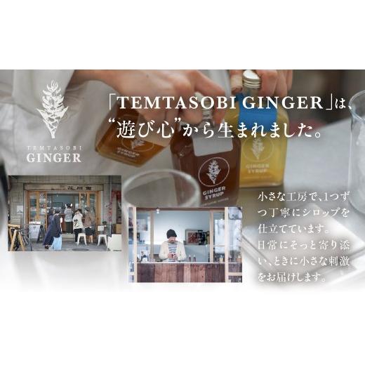 ふるさと納税 果汁飲料 愛知県 豊橋市 母の日お届け クラフトジンジャーシロップ　3本セット TEMTASOBIGINGER ジンジャーシロップ 生姜シロップ しょうがドリ…