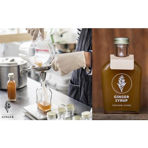 ふるさと納税 果汁飲料 愛知県 豊橋市 クラフトジンジャーシロップ ベーシック TEMTASOBIGINGER ジンジャーシロップ 生姜シロップ しょうがドリンク 手作りシ…
