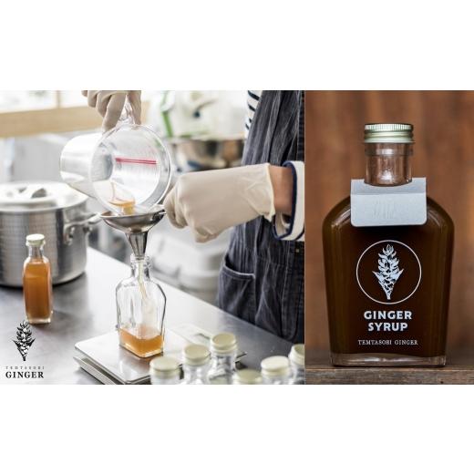 ふるさと納税 果汁飲料 愛知県 豊橋市 クラフトジンジャーシロップ スパイス TEMTASOBIGINGER ジンジャーシロップ 生姜シロップ しょうがドリンク 手作りシロ…