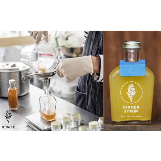 ふるさと納税 果汁飲料 愛知県 豊橋市 母の日お届け クラフトジンジャーシロップ レモン TEMTASOBIGINGER ジンジャーシロップ 生姜シロップ しょうがドリンク…