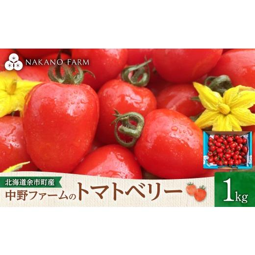 ふるさと納税 トマト ミニトマト 北海道 余市町 先行予約7月上旬発送 余市町 中野ファーム トマトベリー 1kg ハート型フルーツミニトマト 甘くて完熟 お弁当…