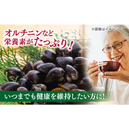 ふるさと納税 加工品等 レトルト 島根県 松江市  全12回定期便 砂抜き不要 お湯をそそぐだけ 宍道湖産しじみのみそ汁1食用×20袋セット 島根県松江市／平野醤…_3