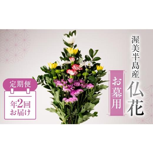 ふるさと納税 花・苗木 花束 愛知県 田原市 定期便 年2回 産地直送 [お墓用] 仏花 日時指定可 生産額 日本一 田原市 渥美半島 お彼岸 鮮度 生花 お花 定期…