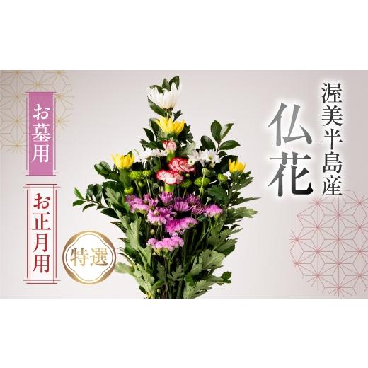 ふるさと納税 花・苗木 花束 愛知県 田原市 お正月用 産地直送 [お墓用] 仏花 特選 日時指定可 生産額 日本一 田原市 渥美半島 年末 鮮度 生花 お花 お墓ま…