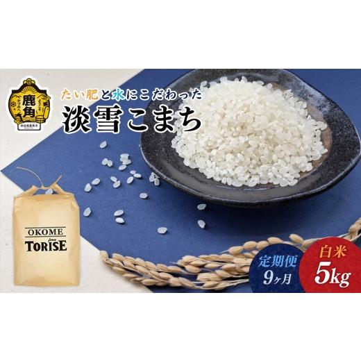 ふるさと納税 米 秋田県 鹿角市 [ 先行予約 ] 令和8年産 淡雪こまち 白米 5kg 定期便 9ヶ月 合計 45kg トライズ ●2026年11月発送開始 米 精米 白米 単一原…