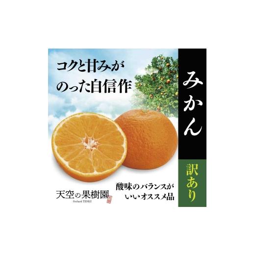 ふるさと納税 果物類 みかん 愛媛県 八幡浜市 先行受付 天空の果樹園から届く そらみかん (5kg) 訳あり A95-4 1668469 YW