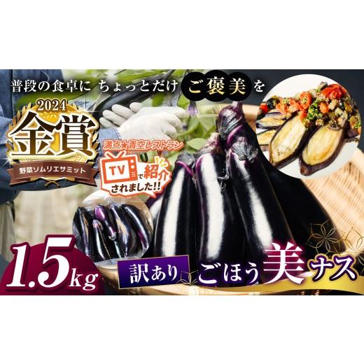 ふるさと納税 野菜類 茄子 栃木県 真岡市 野菜ソムリエサミット金賞 訳あり「ごほう美ナス」 約1.5kg | 野菜 やさい 茄子 なす 野菜ソムリエ サミット 金賞 ご…