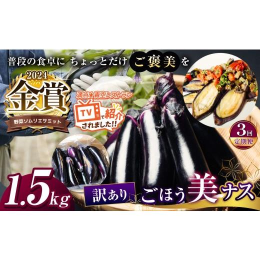 ふるさと納税 野菜類 茄子 栃木県 真岡市 定期便3回 野菜ソムリエサミット金賞「ごほう美ナス」 訳あり 約1.5kg | 茄子 なす 金賞 きんしょう ごぼう美ナス …