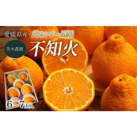 ふるさと納税 みかん・柑橘類 デコポン 愛媛県 西条市 茨木農園の不知火 6〜7玉入 (2Lサイズ前後) 愛媛県産 柑橘 しらぬい 不知火 2026年4月中旬〜5月中旬ま…
