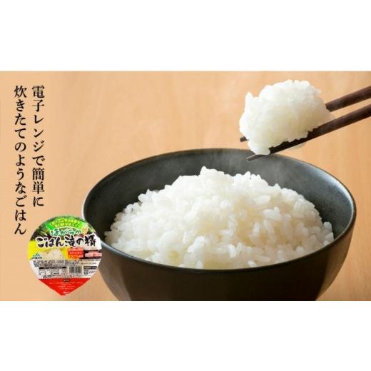 ふるさと納税 加工品等 レトルト 石川県 金沢市 パックご飯 数量限定 JA金沢市 ほがらかごはん 20個入り 白米