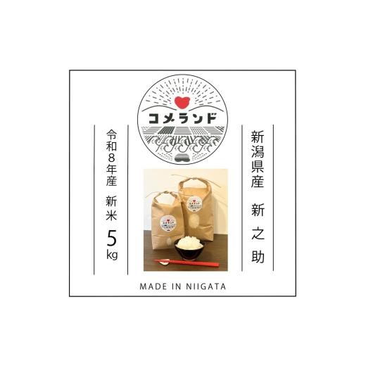 ふるさと納税 米 新潟県 上越市 令和8年産 先行予約 上越市産 5kg 5キロ 精米 新潟県 上越市 板倉区 コメランド しんのすけ 限定 おすすめ 米 コメ