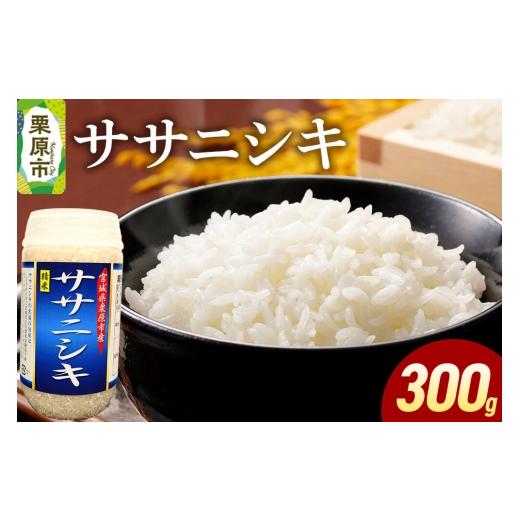 ふるさと納税 米 ササニシキ 宮城県 栗原市 米 白米 令和7年産 ササニシキ 300g ふるさと納税 米 ササニシキ お試し 300g こめ 精米 白米 おいしい 美味 旨み …