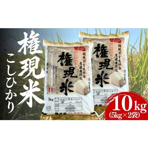 ふるさと納税 米 コシヒカリ 三重県 松阪市 権現米(ごんげんまい)10kg(5kg×2袋) 002379