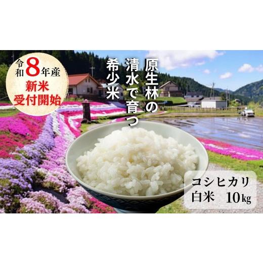 ふるさと納税 米 コシヒカリ 岡山県 西粟倉村 [先行予約 2026年10月発送]白米 10kg 令和8年産 コシヒカリ 岡山 「おおがや 芝桜米」 G-ag-AFZA