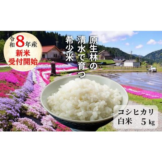 ふるさと納税 米 あきたこまち 岡山県 西粟倉村 [先行予約 2026年10月発送]白米 5kg 令和8年産 コシヒカリ 岡山 「おおがや 芝桜米」 G-af-AFZA
